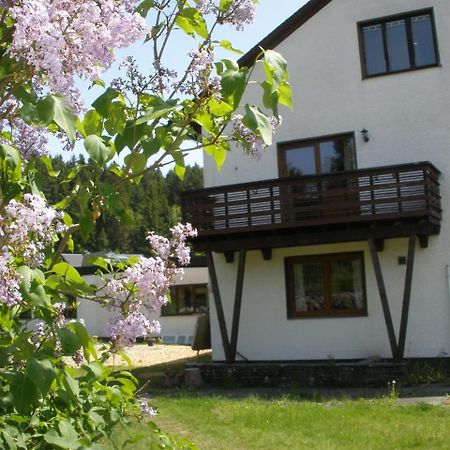 Ferienwohnungen Federleicht Titisee-Neustadt Bagian luar foto